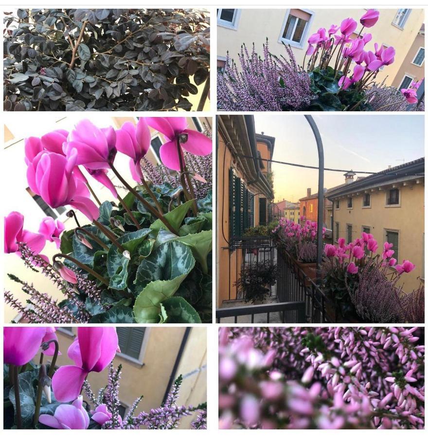 VeronAntica B&B Esterno foto